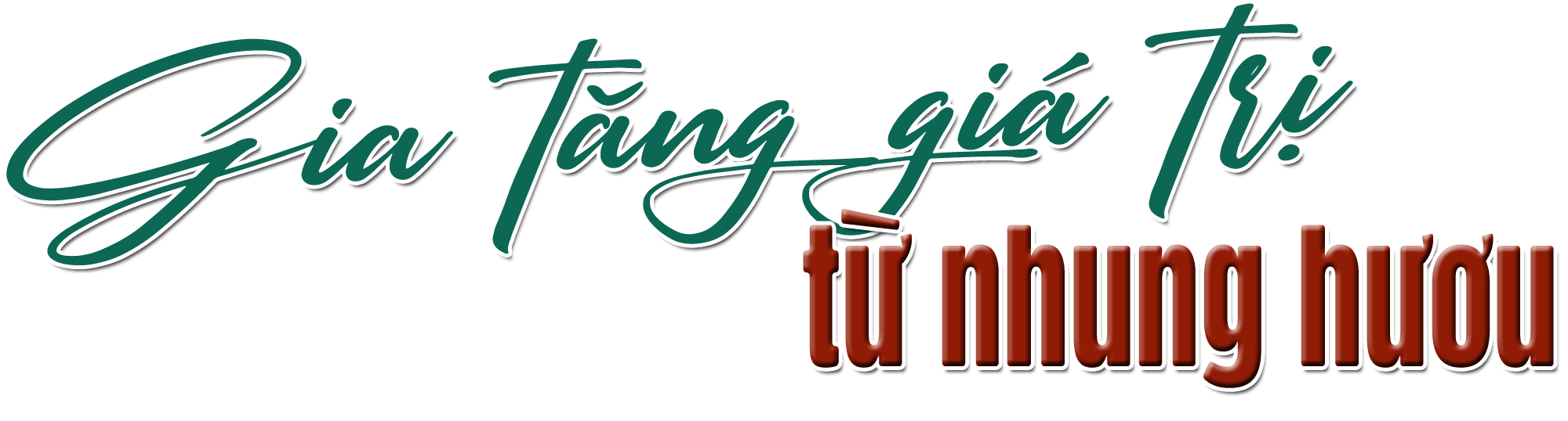 titphu2(2).png