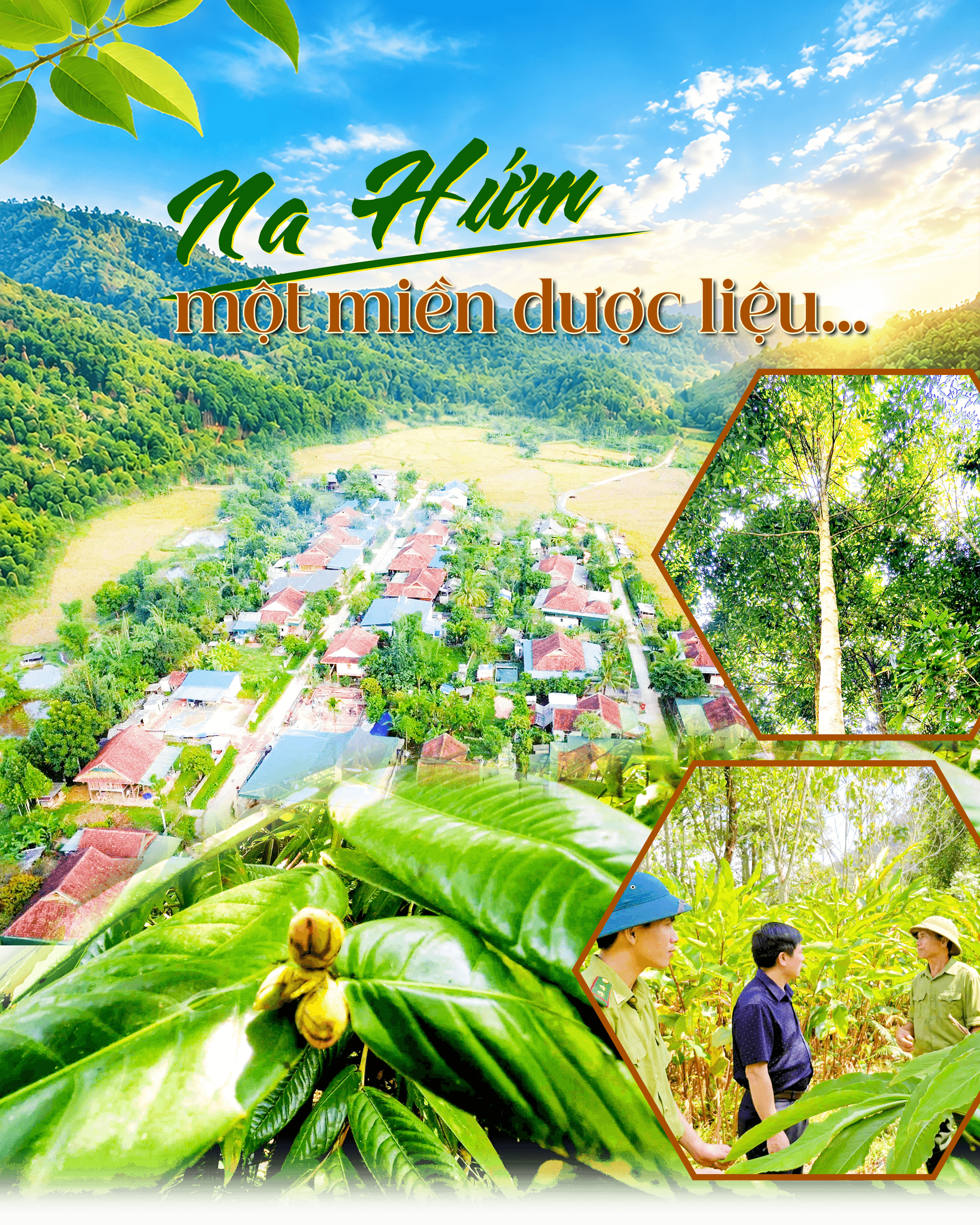 nahum-duoclieu(2).png