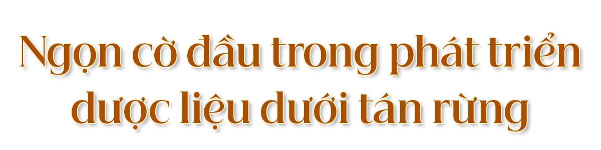 nahum-duoclieu-t2.png