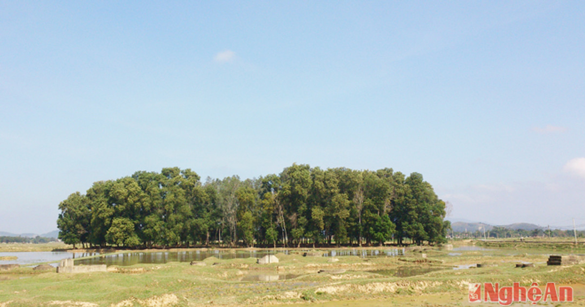 Sự tích Cồn Ràn