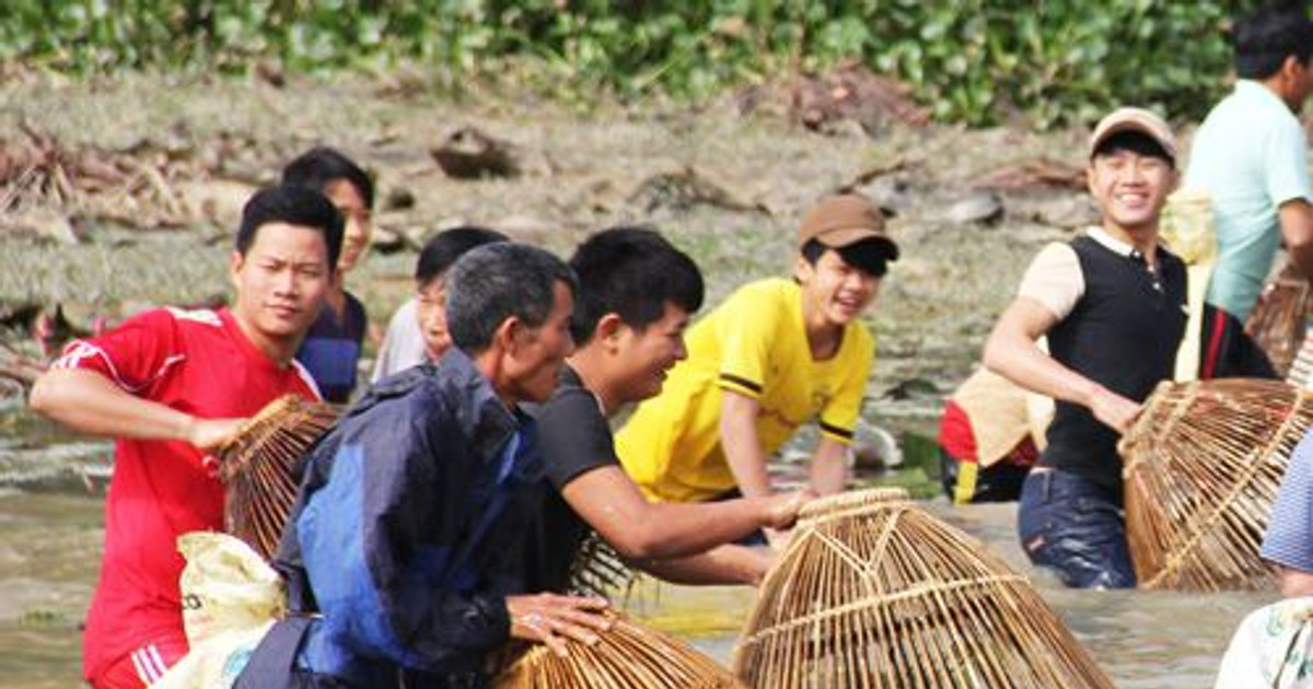 Cả làng đi nơm cá