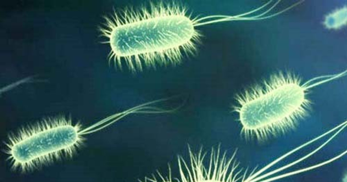 Antibiotic-induced gut dysbiosis