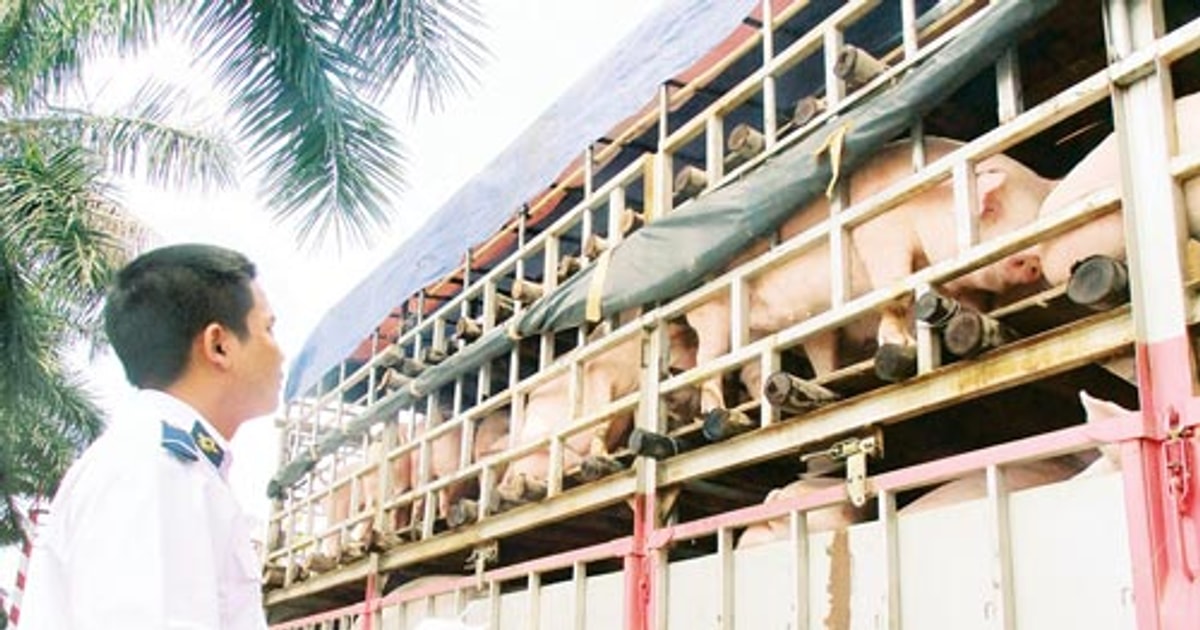 m.baonghean.vn