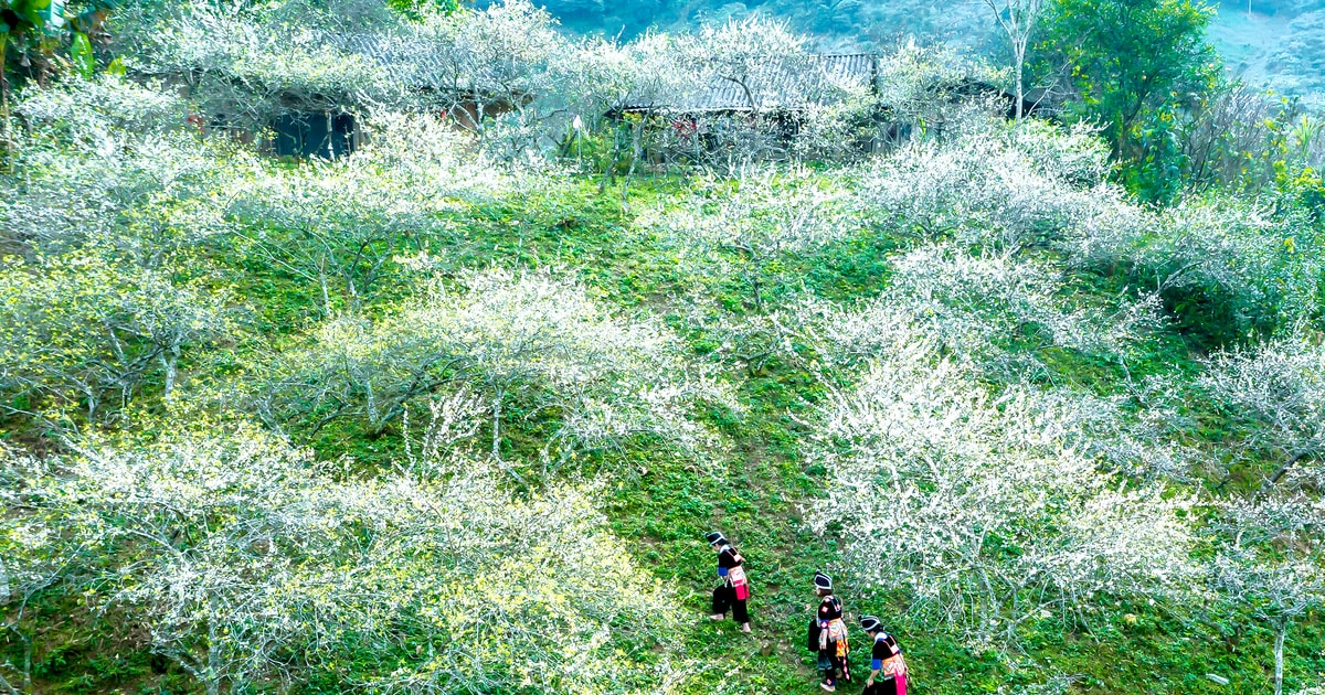 Du lịch mùa Đông ở rẻo cao Kỳ Sơn