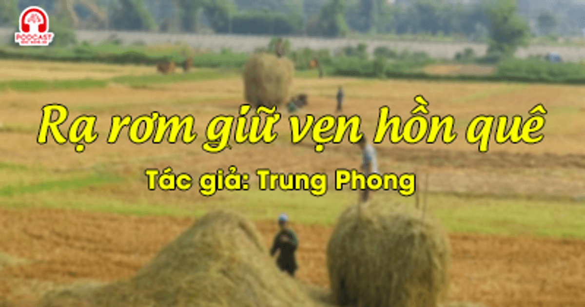 Tản văn hay: Rạ rơm giữ vẹn hồn quê