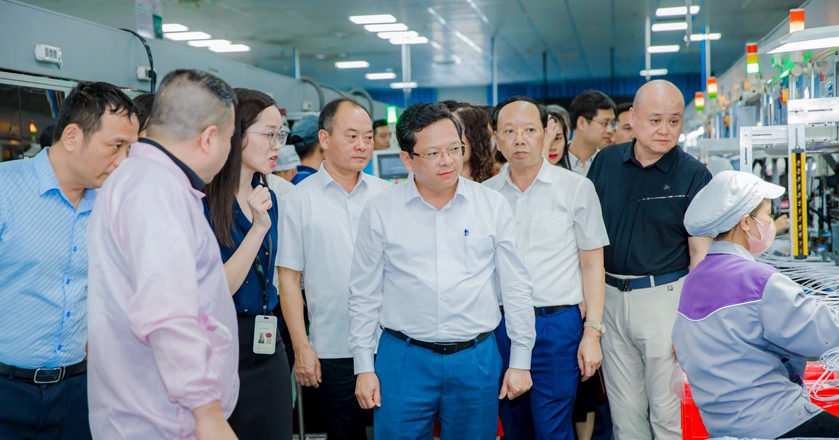 Lãnh đạo Ban Kinh tế Trung ương khảo sát tại VSIP và Luxshare - ICT Nghệ An