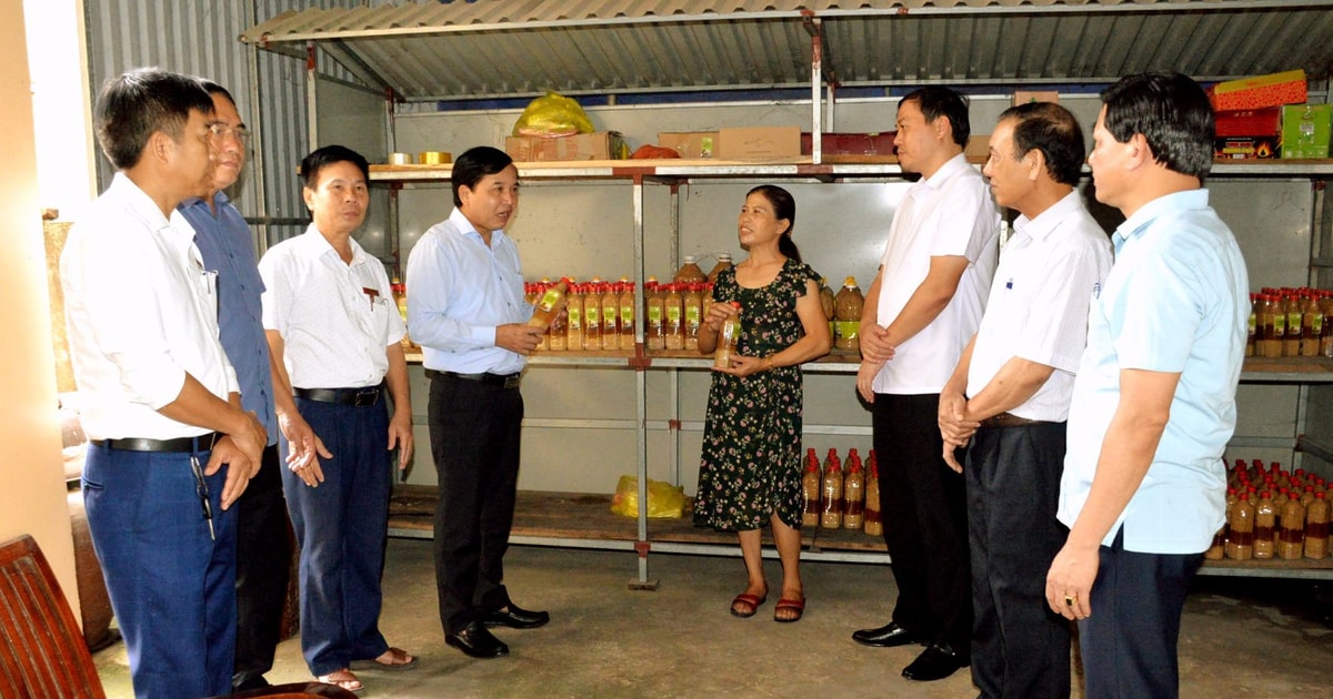 HĐND tỉnh Nghệ An đề nghị tháo gỡ vướng mắc trong xây dựng nông thôn mới