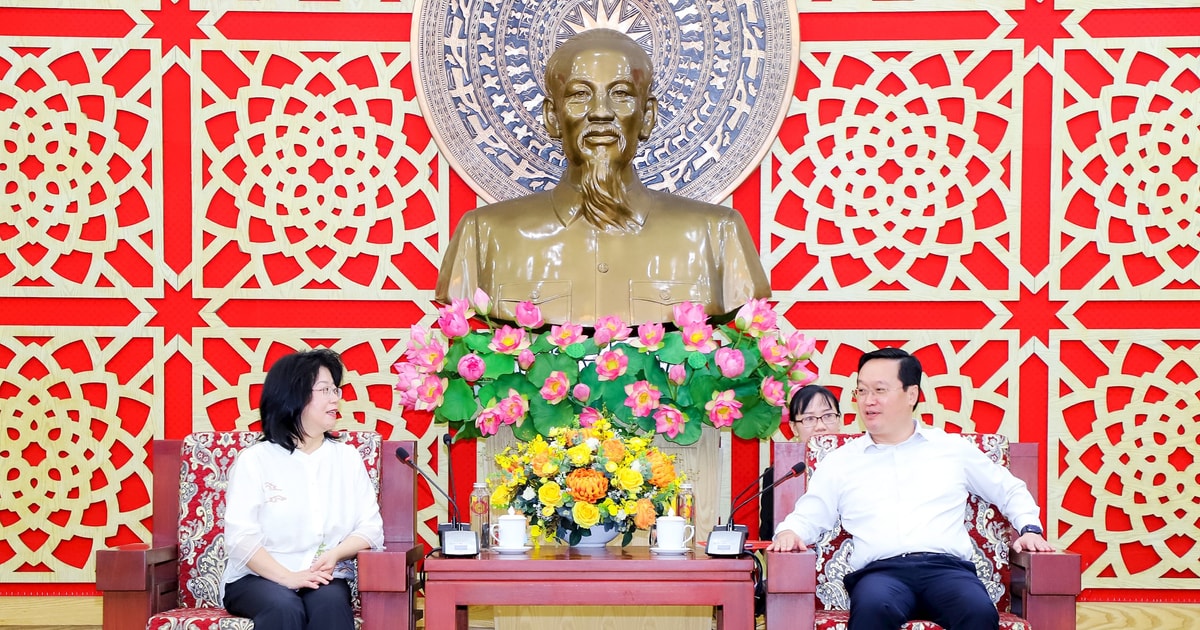 Chủ tịch UBND tỉnh Nguyễn Đức Trung tiếp, làm việc với đoàn doanh nghiệp Hoa Kỳ