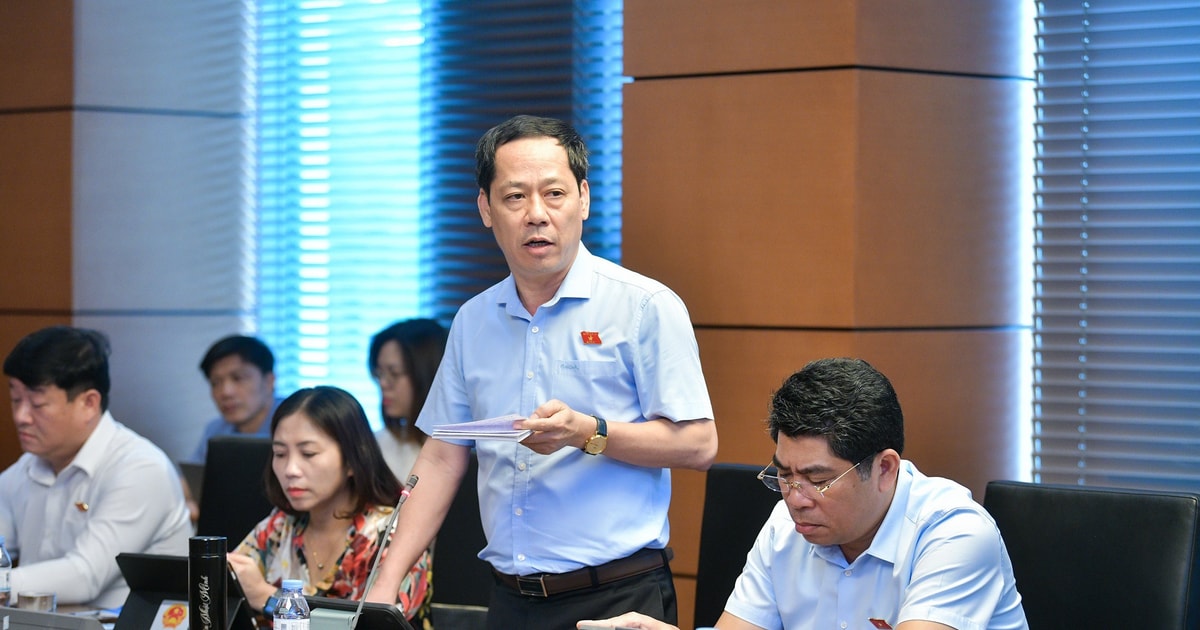 Đoàn ĐBQH tỉnh thảo luận về Luật sửa đổi, bổ sung một số điều của Luật Dược và Luật Di sản văn hóa (sửa đổi)