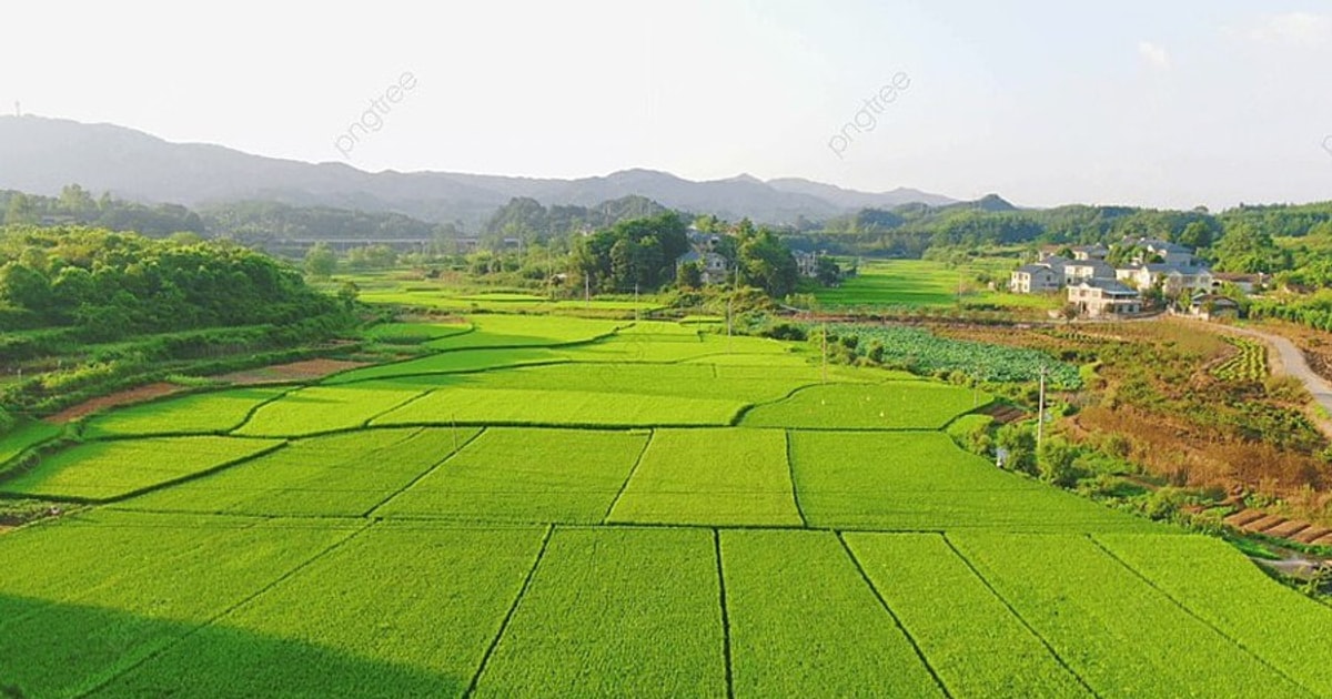 Luật Đất đai 2024 quy định về chuyển mục đích sử dụng đất như thế nào?