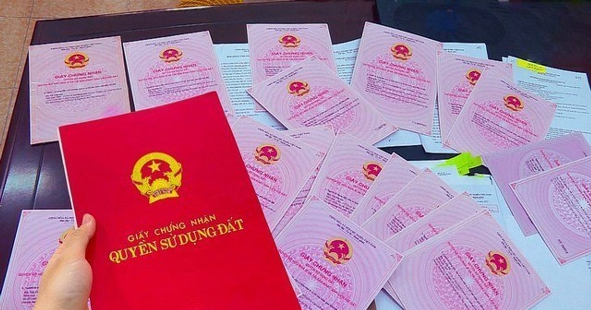 Luật Đất đai 2024 quy định về nhận quyền sử dụng đất như thế nào?