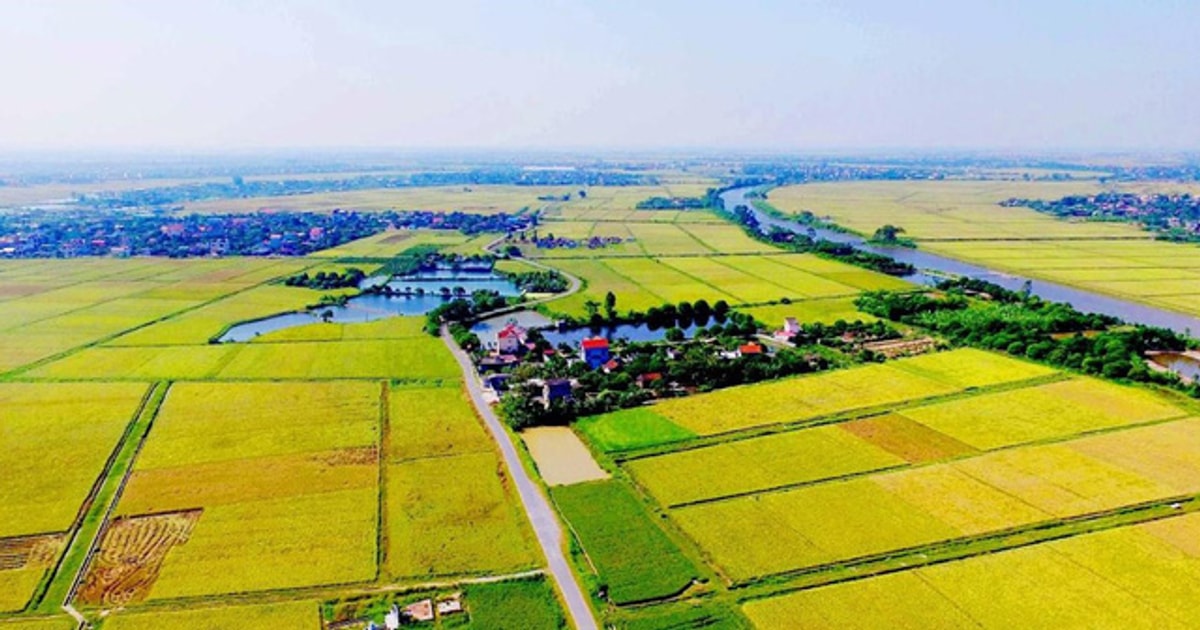 Điều kiện giao đất, cho thuê đất, cho phép chuyển mục đích sử dụng đất