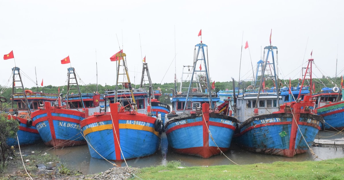 Khẩn trương ứng phó với bão số 3 được dự báo có cường độ rất mạnh