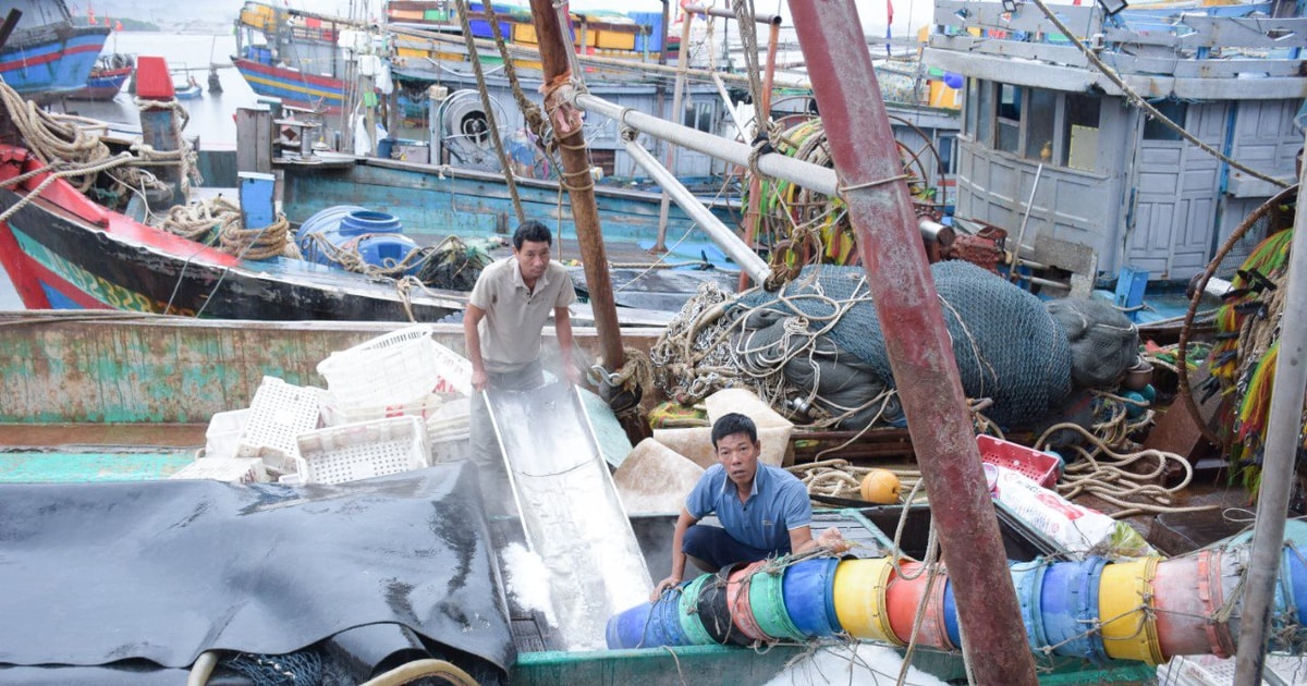 Người dân ven biển Nghệ An ‘chạy đua' chống siêu bão Yagi