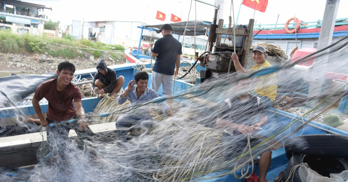 Ngư dân Nghệ An phấn khởi ra khơi sau bão số 3