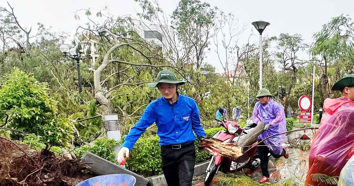 100 thanh niên tình nguyện Nghệ An hỗ trợ người dân Hải Phòng khắc phục hậu quả sau bão số 3