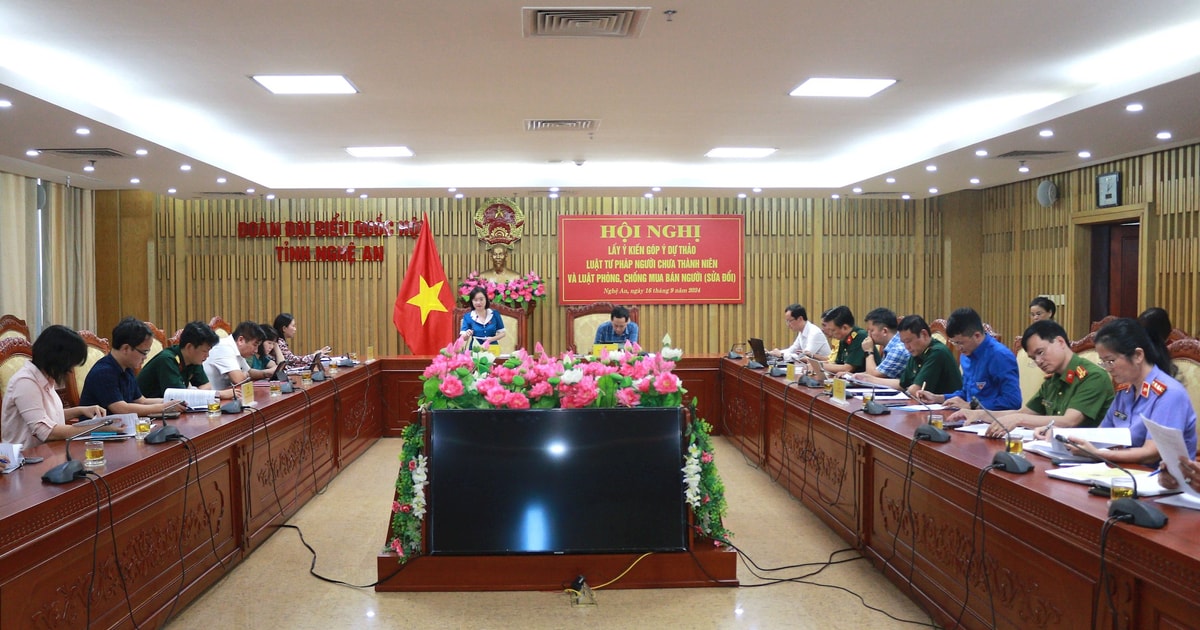 Đoàn Đại biểu Quốc hội Nghệ An lấy ý kiến góp ý dự thảo Luật Tư pháp người chưa thành niên và Luật Phòng, chống mua bán người (sửa đổi)