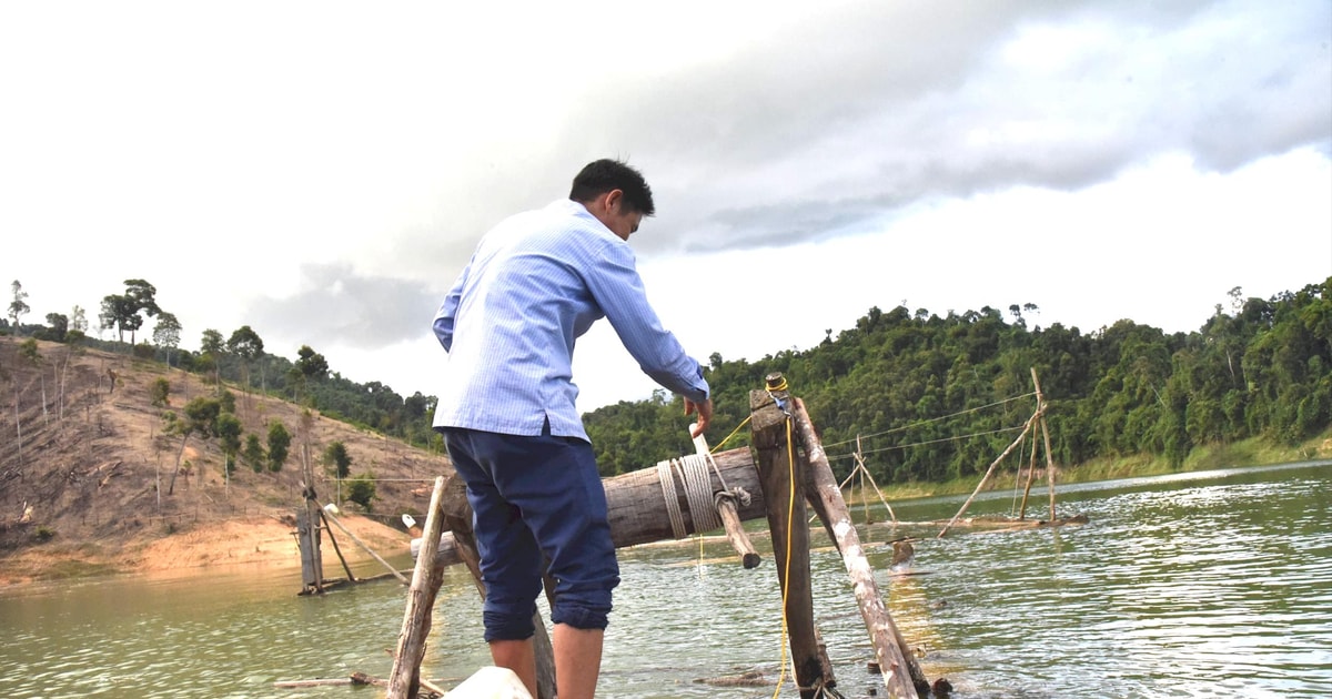 Miền Tây Nghệ An tích cực khôi phục sản xuất sau mưa lũ