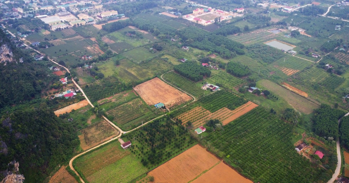 Quy định về quản lý, sử dụng và sử dụng đất do cơ quan, tổ chức của Nhà nước chủ trì, quản lý và khai thác.