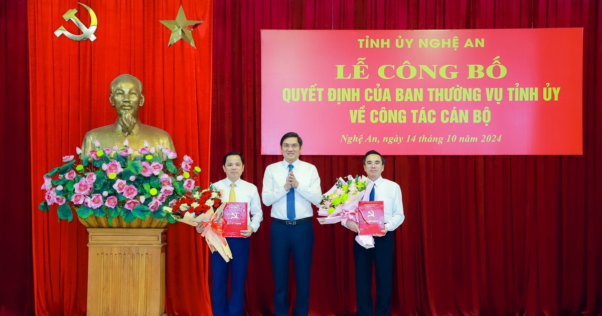 Tỉnh ủy Nghệ An công bố các quyết định về công tác cán bộ