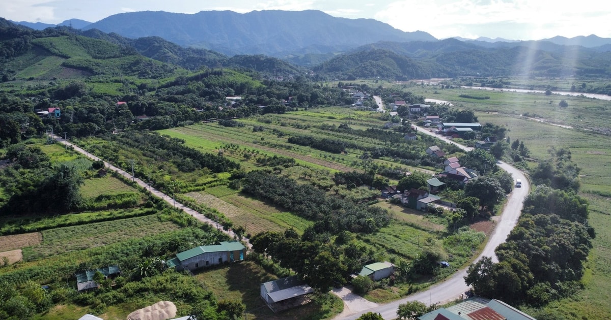 Quy định về Công chứng, Thao tác, Sáp nhập, Chia, Phân chia, Tách, Hợp thửa, Bán, Mua,	location, Đấu giá, Khởi پرونده, Chấp, Chịu, Kể, Giao, Tập thức,asadep,  Bốc, Hộ, Đất,reaction,  ữngqdctrungquy Shepard Fatema HLVHS Th