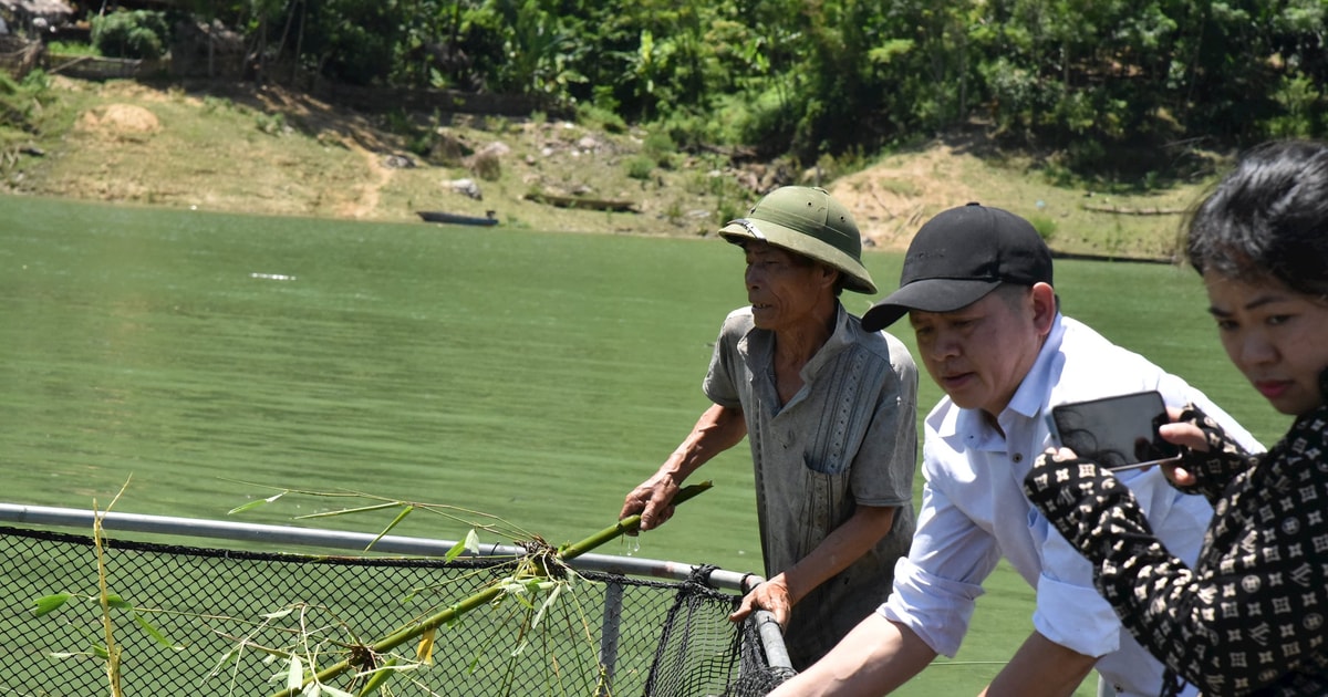 Thăm 'cơ ngơi' của đảng viên làm kinh tế giỏi trên lòng hồ Thủy điện Hủa Na