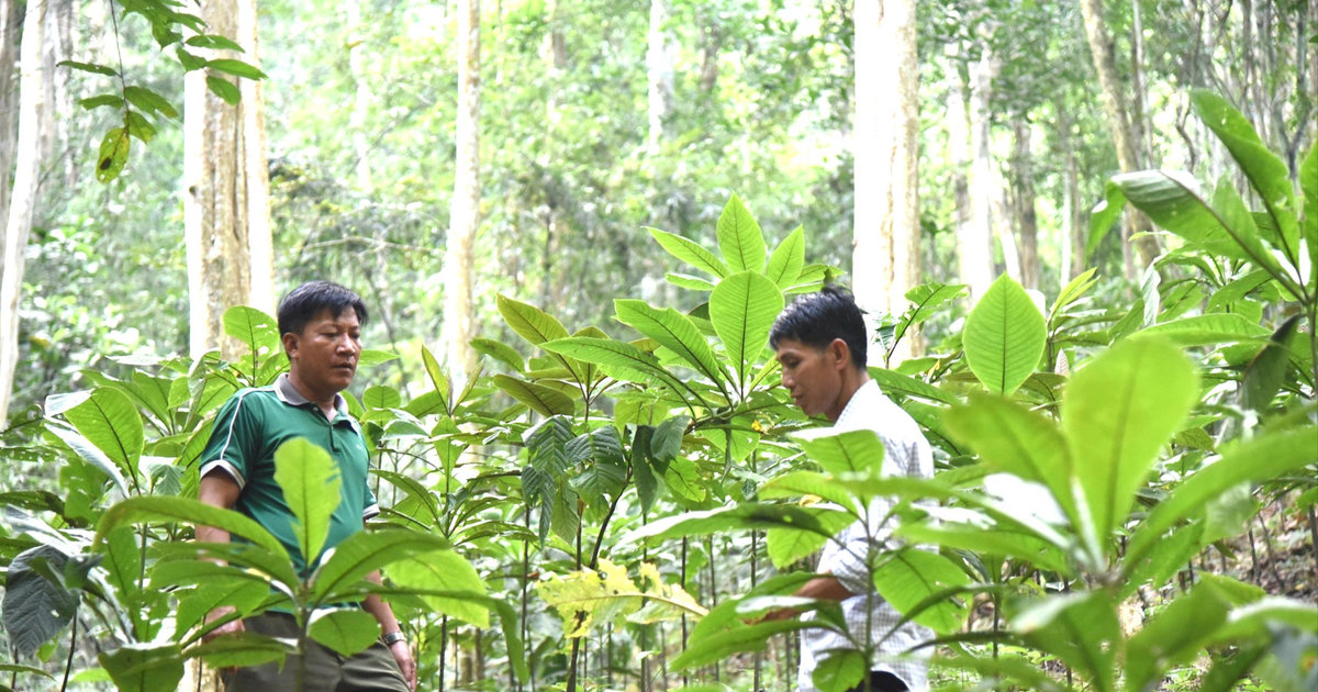 Nhiều địa phương của Nghệ An đề xuất giải pháp tăng tốc giải ngân vốn chương trình mục tiêu quốc gia