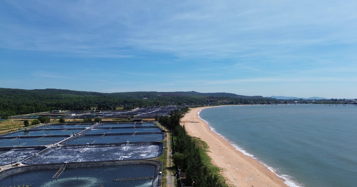 Đẩy nhanh tiến độ chấp thuận chủ trương đầu tư, lựa chọn nhà thầu Dự án Nhà máy nhiệt điện LNG Quỳnh Lập