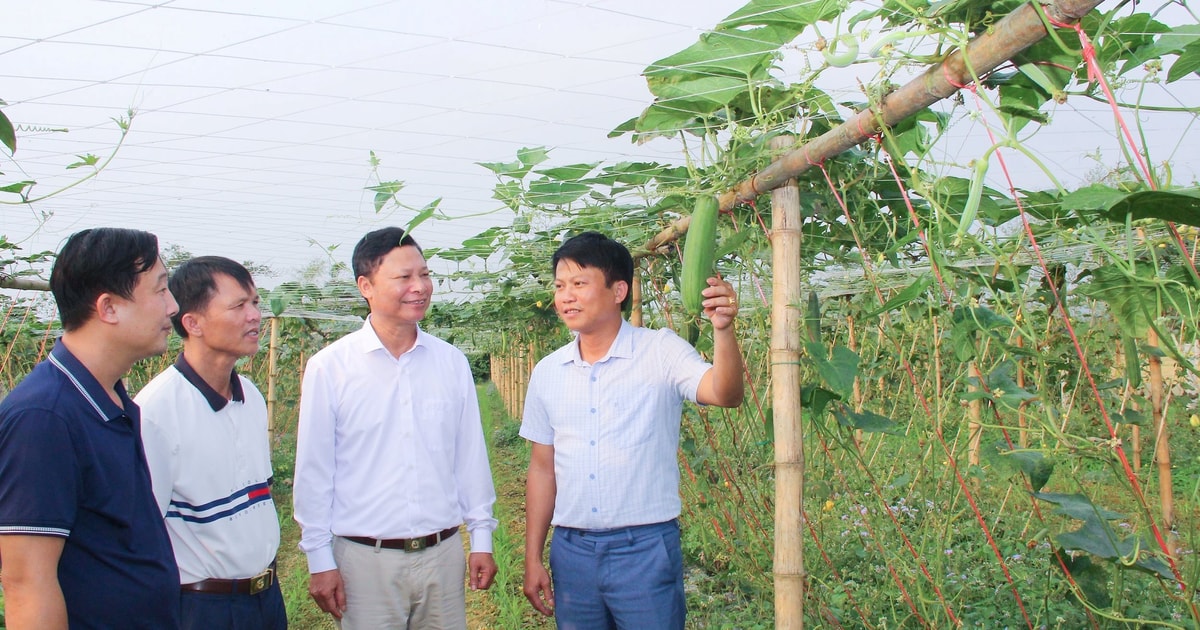 Chuẩn bị tốt cho đại hội chi bộ nhiệm kỳ 2025 - 2027