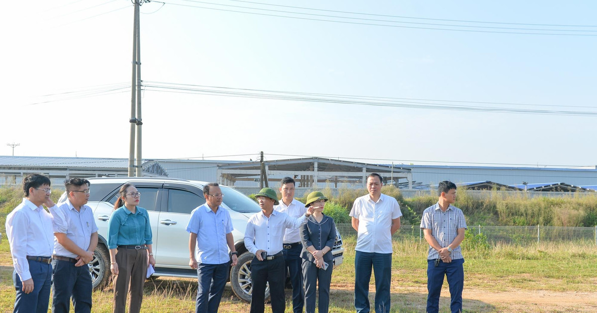 Trách nhiệm chỉ đạo, tổ chức thực hiện thanh tra, kiểm tra chuyên ngành đất đai được quy định như thế nào?
