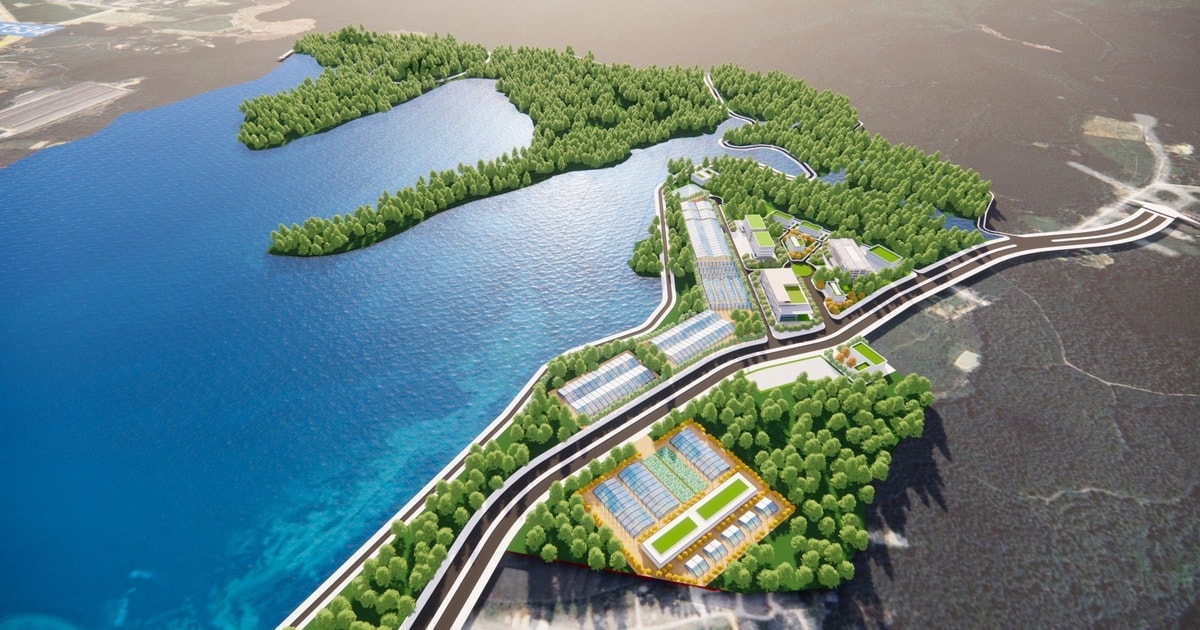Đồng ý chủ trương tổ chức lại Ban Quản lý Khu lâm nghiệp ứng dụng công nghệ cao vùng Bắc Trung Bộ