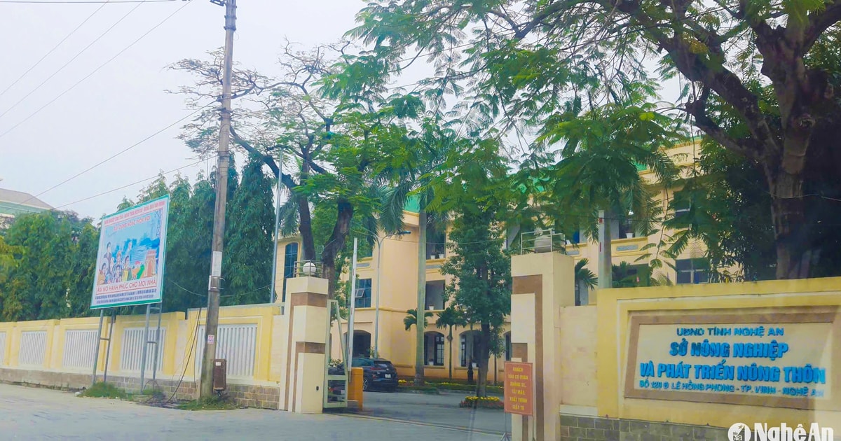 Các đơn vị khối chính quyền Nghệ An hoàn thành đề án sắp xếp, tinh gọn tổ chức bộ máy chậm nhất ngày 25/12/2024