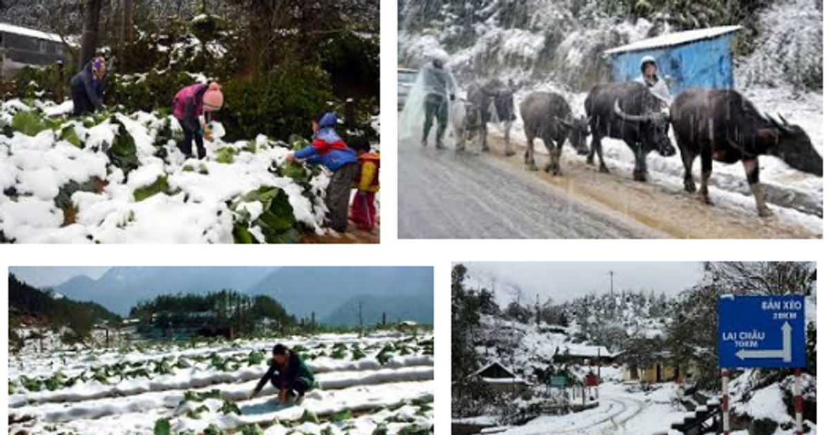 Thủ tướng chỉ đạo Nghệ An và các địa phương chủ động phòng, chống rét đậm, rét hại kéo dài