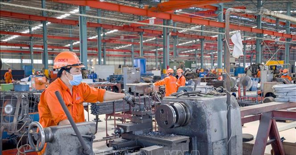 Chuẩn bị phương án tăng lương tối thiểu vùng năm 2025