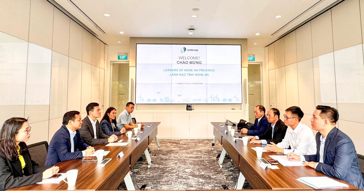 Phó Chủ tịch UBND tỉnh Nghệ An Bùi Thanh An làm việc với lãnh đạo Tập đoàn Sembcorp - Singapore