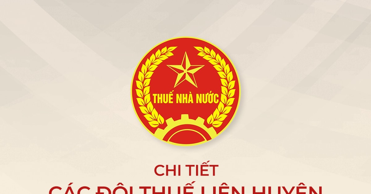 [Infographics] Tên gọi, trụ sở, địa bàn quản lý của các đội thuế liên huyện trên địa bàn Nghệ An