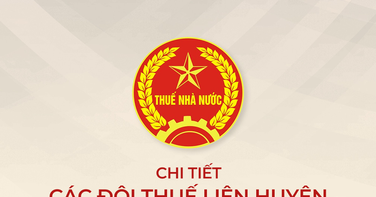 [Infographics] Tên gọi, trụ sở, địa bàn quản lý của các đội thuế liên huyện trên địa bàn Nghệ An