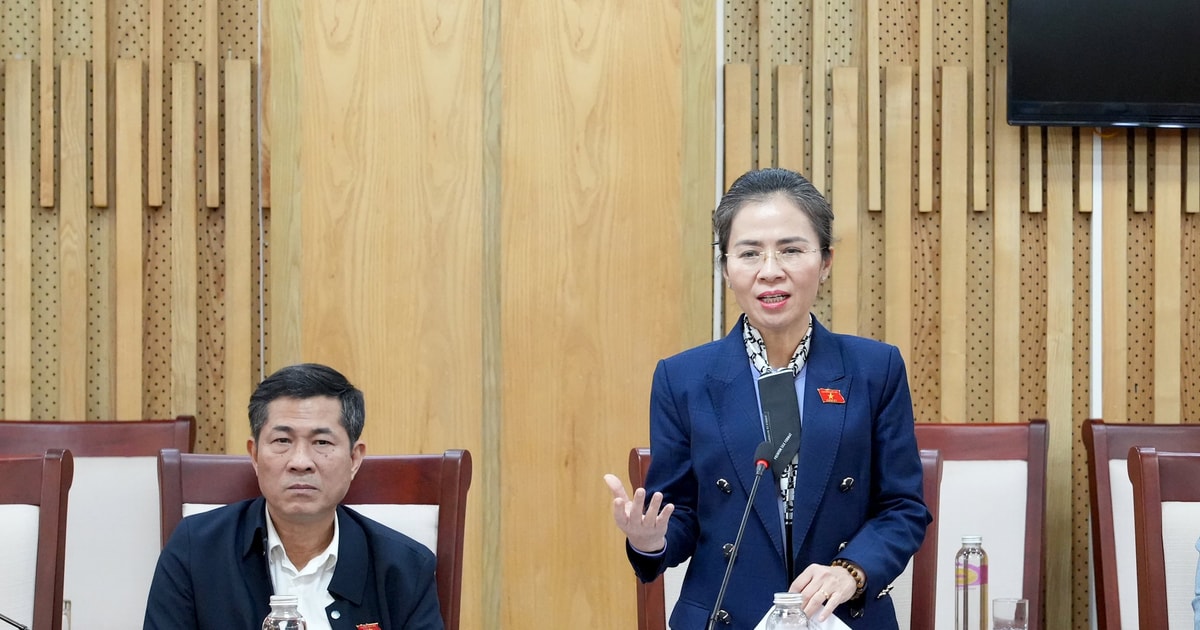 Đoàn đại biểu Quốc hội tỉnh Nghệ An làm việc với UBND tỉnh về giám sát chuyên đề bảo vệ môi trường