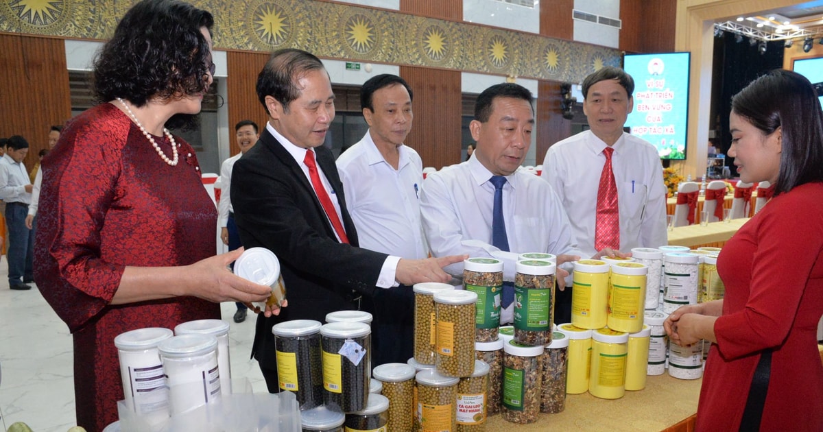 Nghệ An nỗ lực đưa sản phẩm OCOP 'bay xa'