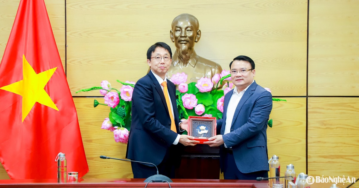 Phó Chủ tịch UBND tỉnh Nghệ An Phùng Thành Vinh làm việc với Tập đoàn SK, lớn thứ 2 Hàn Quốc