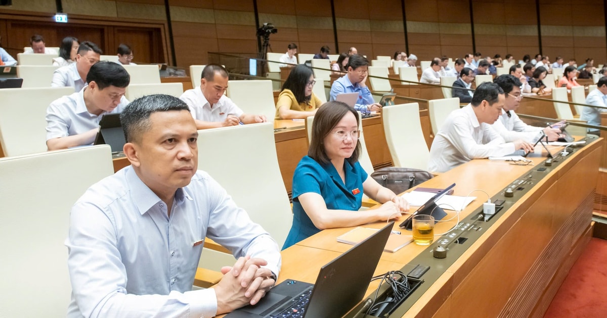 Trình Quốc hội Luật Tham gia lực lượng gìn giữ hòa bình của Liên hợp quốc