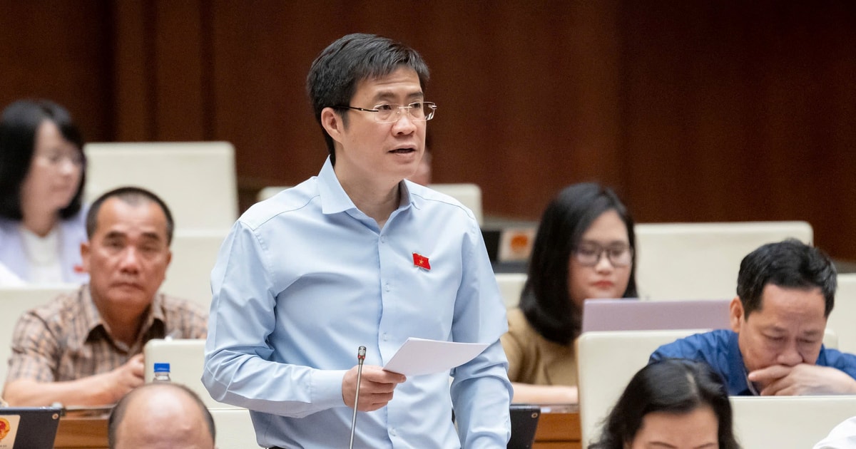 Đại biểu Quốc hội đoàn Nghệ An thảo luận về kiểm soát chất lượng hàng hóa trên sàn thương mại điện tử