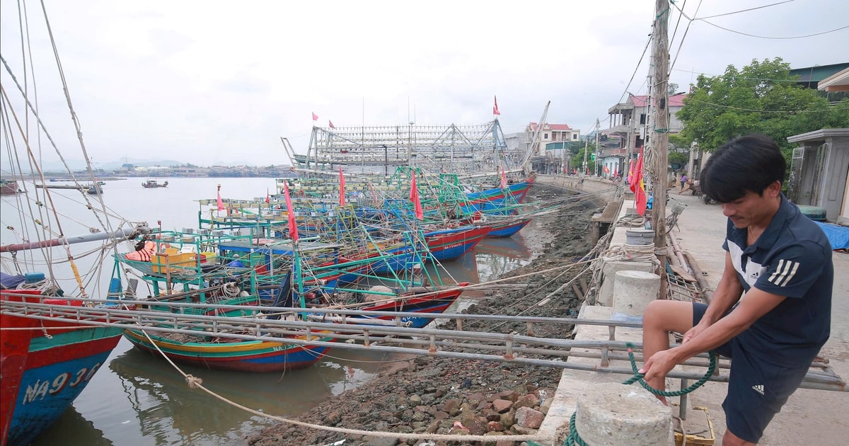 Ứng phó bão số 5, Nghệ An cấm biển từ 5 giờ ngày 24/8/2025