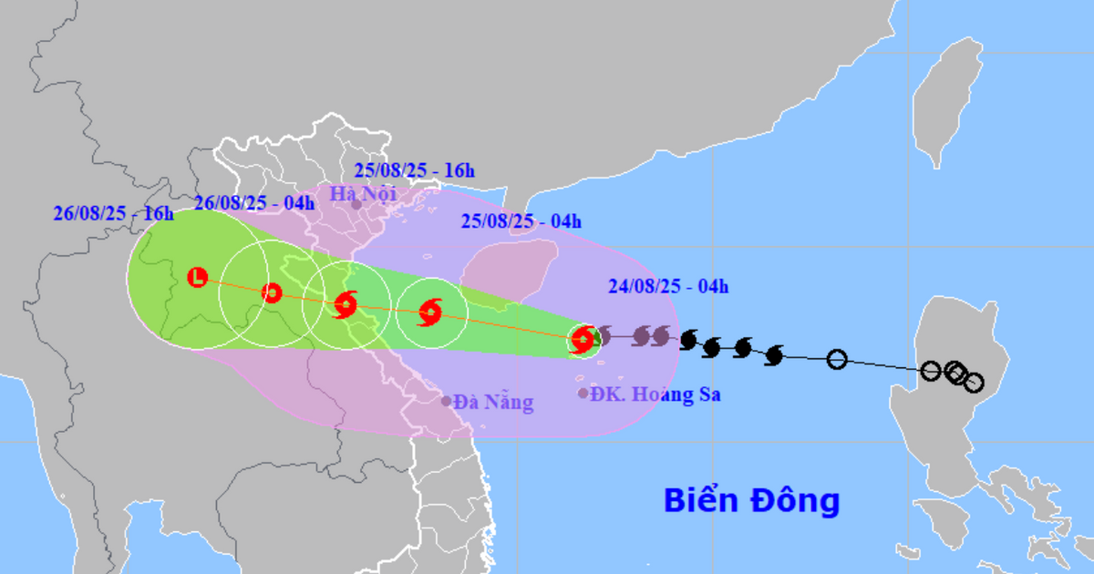Thường trực Tỉnh ủy Nghệ An chỉ đạo khẩn tập trung ứng phó khẩn cấp bão số 5.