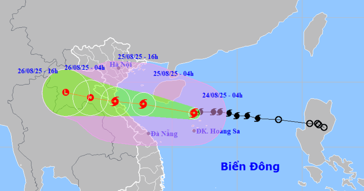 Thường trực Tỉnh ủy Nghệ An chỉ đạo khẩn tập trung ứng phó khẩn cấp bão số 5.