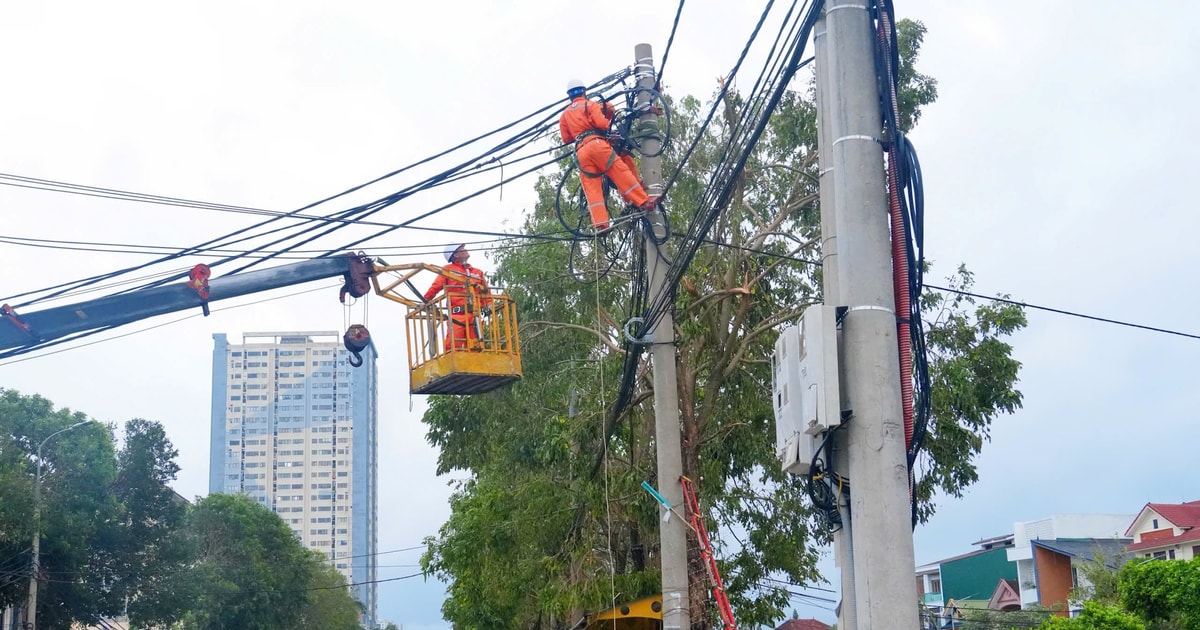 Công ty Điện lực Nghệ An căng mình khắc phục sự cố sau bão số 5, quyết tâm cấp điện trở lại sớm nhất để phục vụ người dân