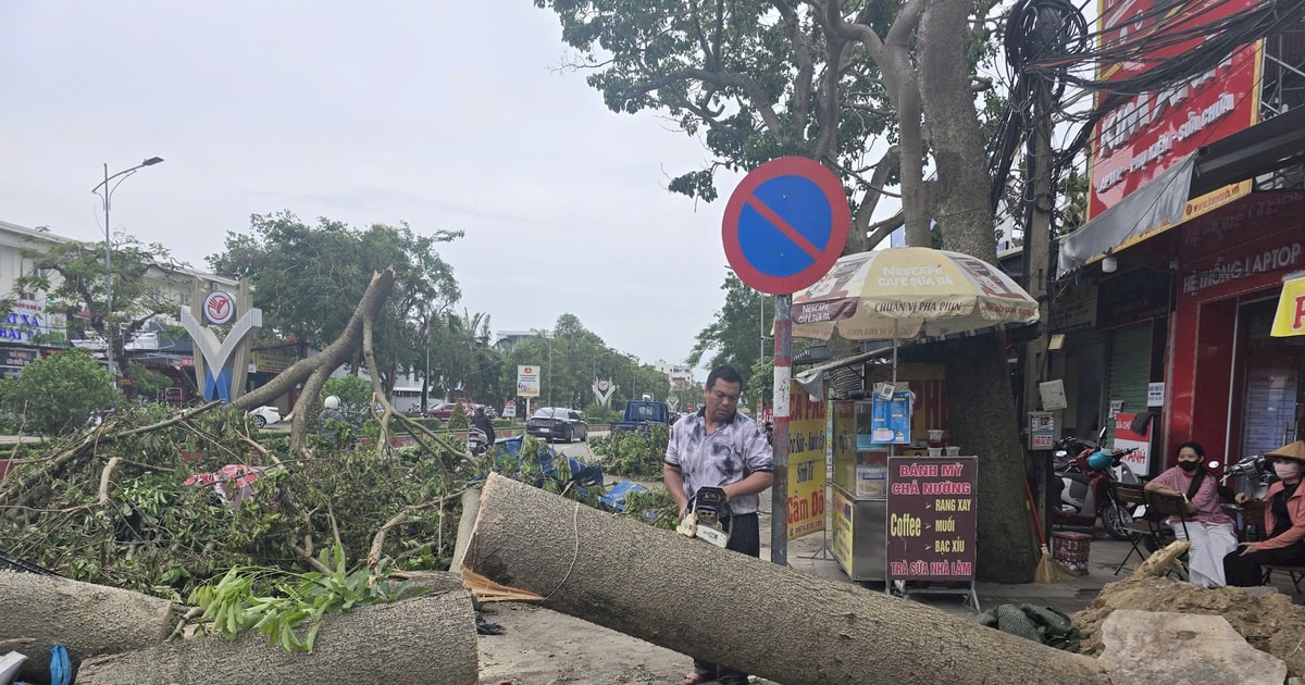 Hơn một nửa cây xanh đô thị ở TP. Vinh (cũ) bị gãy, đổ do bão số 5