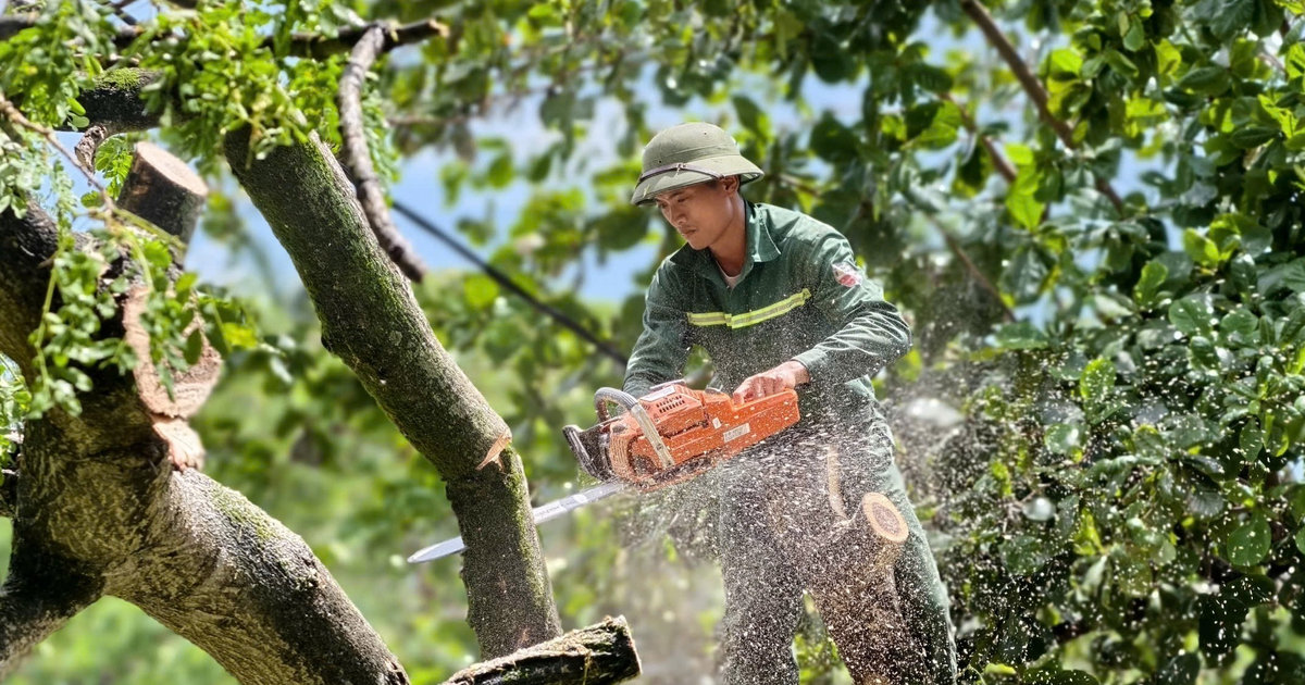 Nghe An: Workers work overtime throughout the holiday, clearing debris ...