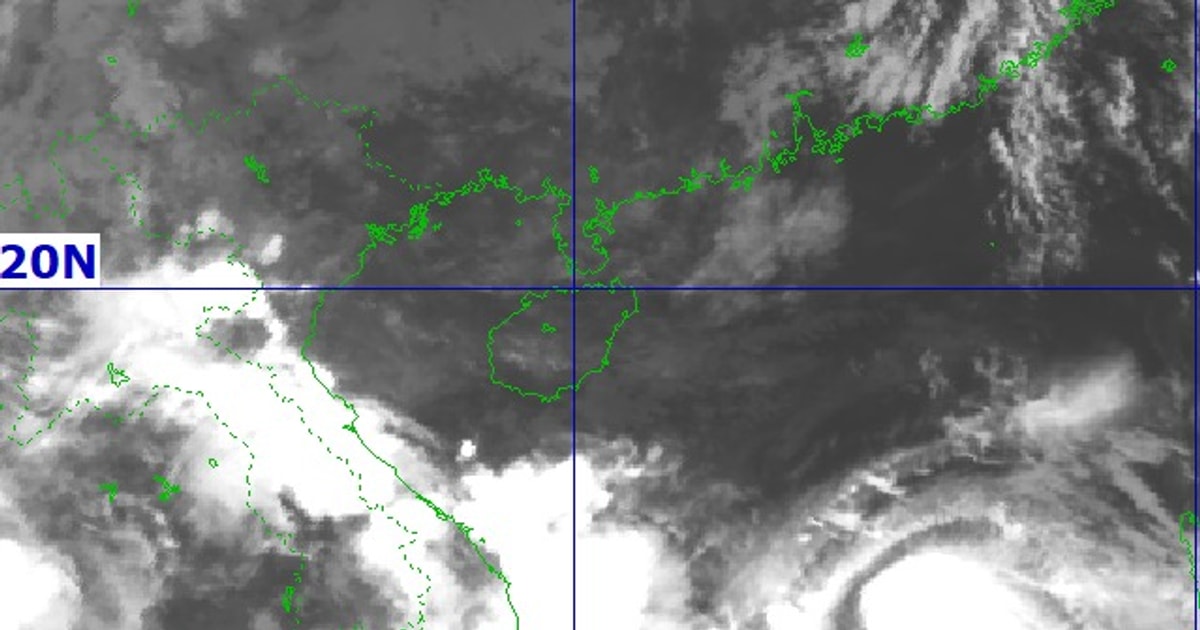 Thường trực Tỉnh ủy Nghệ An yêu cầu chủ động, tập trung ứng phó với cơn bão số 10 (Bualoi)