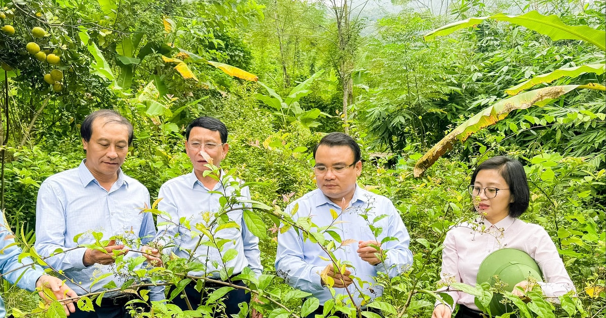 Phó Chủ tịch UBND tỉnh Phùng Thành Vinh kiểm tra, tháo gỡ khó khăn vận hành chính quyền địa phương 2 cấp tại các xã miền Tây Nghệ An